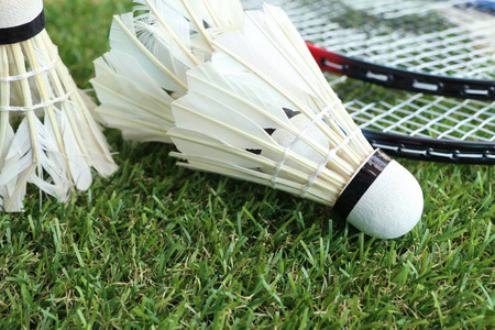 婷记忆很久 婷记忆很久