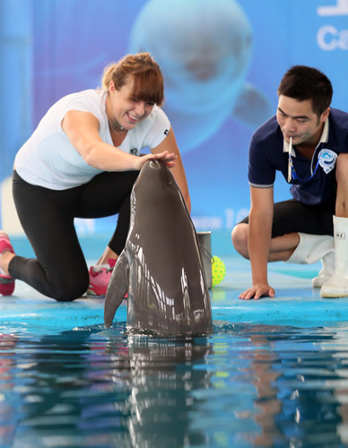 引援切中要 引援切中要