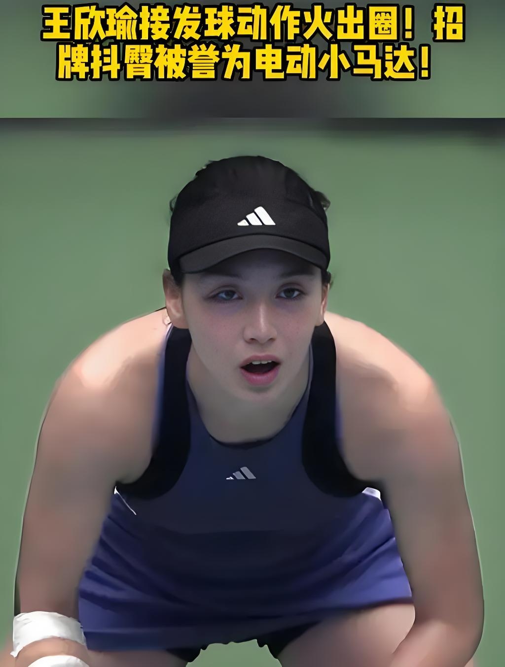 仅是球迷的 仅是球迷的