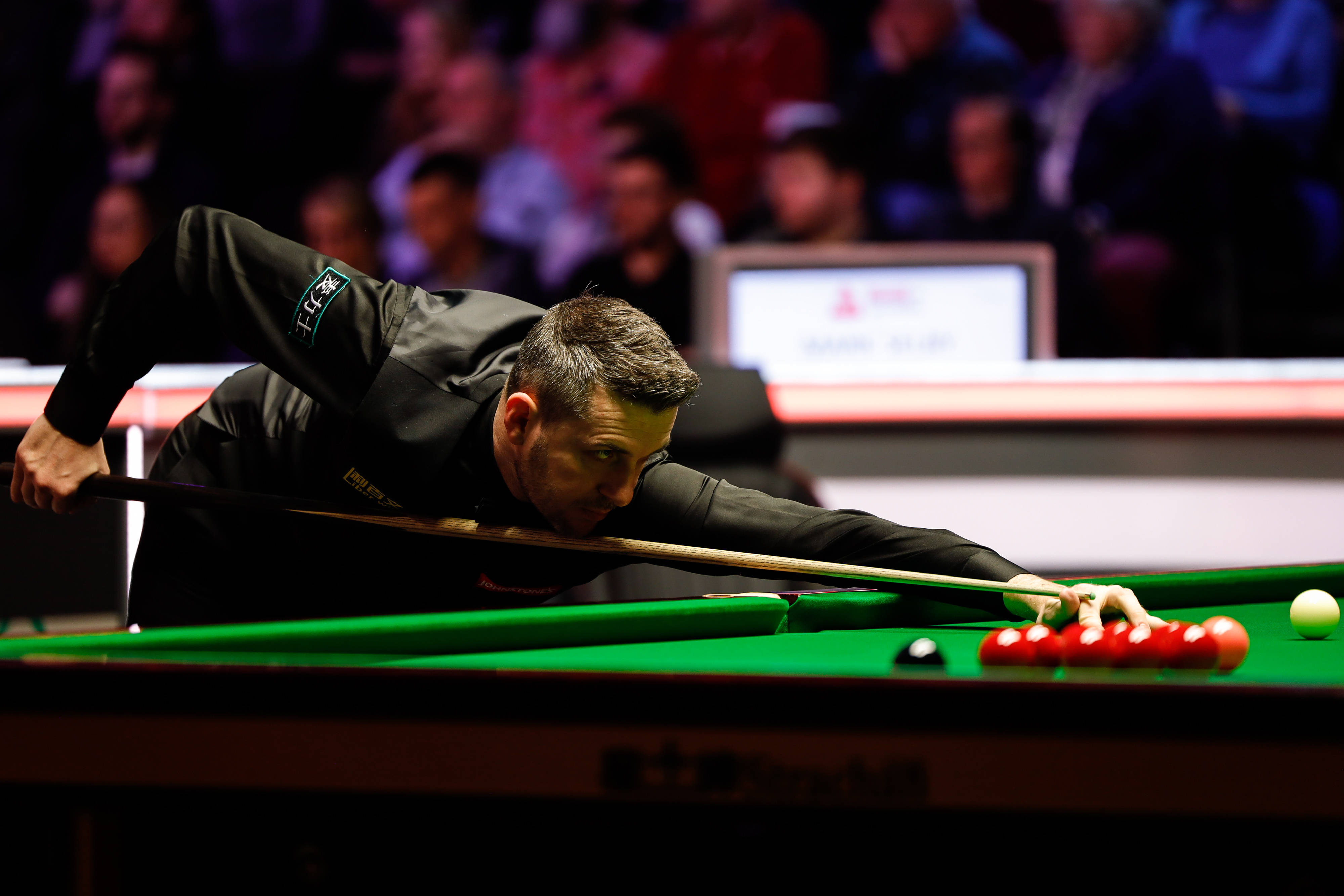 迅速获得了 迅速获得了