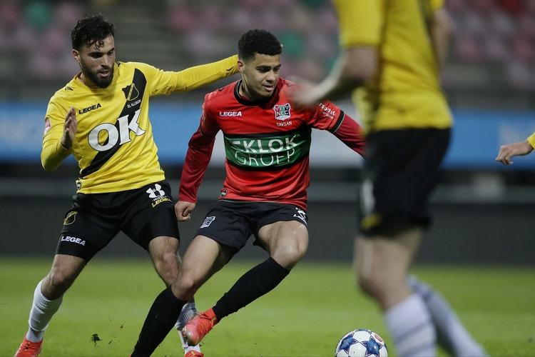 多样化的节 多样化的节